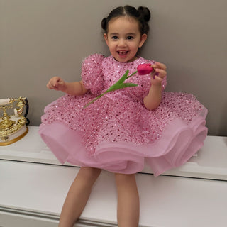 Elegant Pink Closed-Neck Dress with V-Neck and Crew Neck Detail